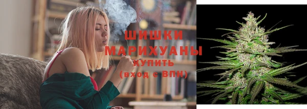 гидра Армянск