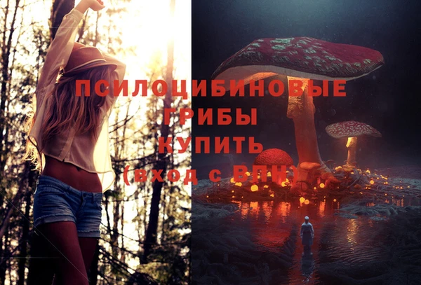 гидра Армянск