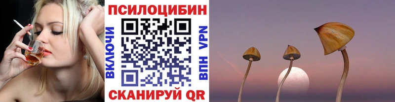 Купить закладки  Николаевск-на-Амуре  Псилоцибиновые грибы мицелий 